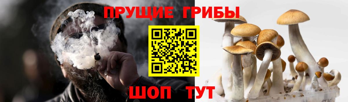 Псилоцибиновые грибы Magic Shrooms Евпатория